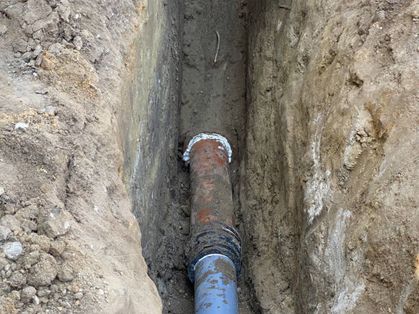 Best Flood damage cleanup  in Vista Santa Rosa, CA