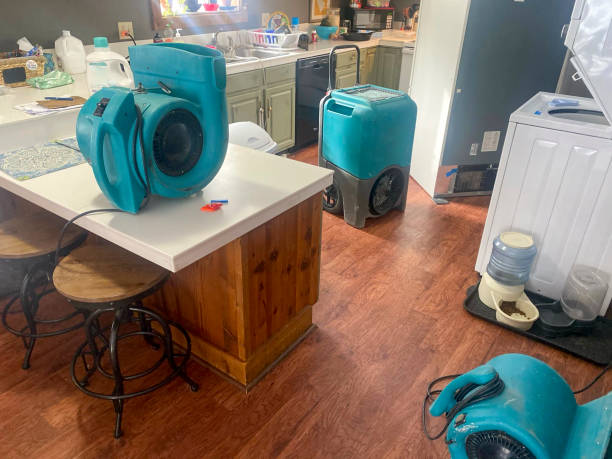 Best Water damage restoration near me  in Vista Santa Rosa, CA
