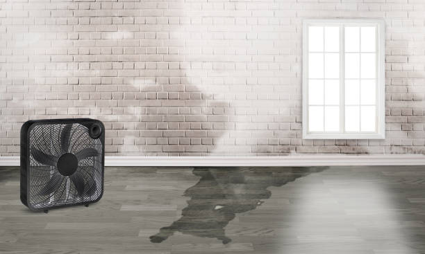 Fire Damage Restoration in Vista Santa Rosa, CA