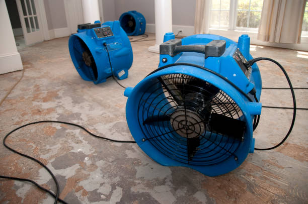Best Local water damage restoration  in Vista Santa Rosa, CA