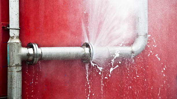 Best Water damage cleanup near me  in Vista Santa Rosa, CA